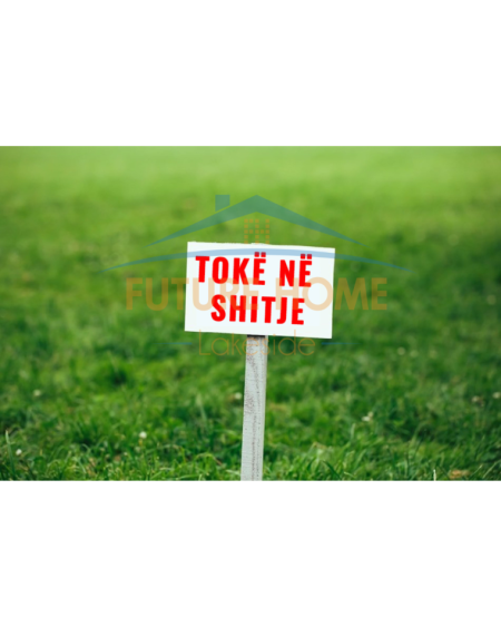 Untitled design (1).png