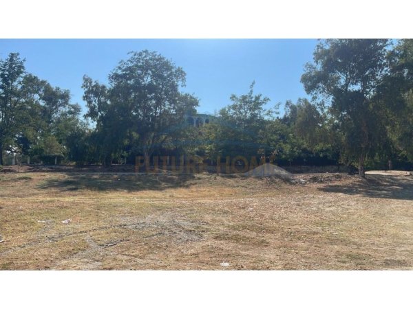Fier, shitet bar-resorant Kati 0, 161 m² 300.000 € 