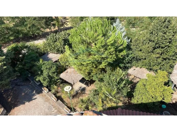 Fier, shitet bar-resorant Kati 0, 161 m² 300.000 € 