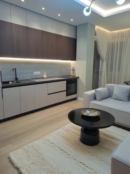 🏠 Jepet me Qira Ap 1+1  ne Qender ,750 Euro