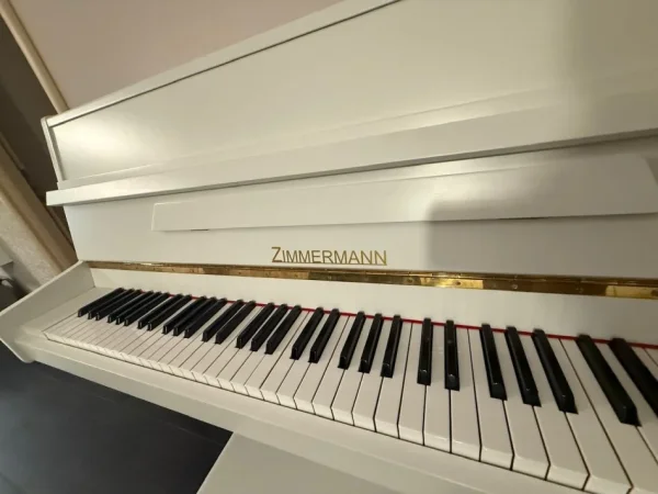 Tirane, shes Piano Murale 1.500 € ulje