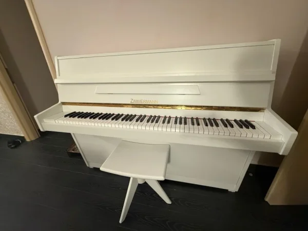 Tirane, shes Piano Murale 1.500 € ulje