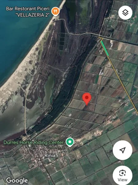 Okazion shitet toke 10.000 m² 170000 € (Sektori Rinia, Durres)