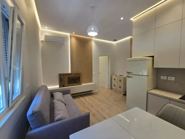 Tirane, jepet me qera apartament 1+1+Ballkon Kati 1, 55 m² 650€ (RRUGA E DIBRES)
