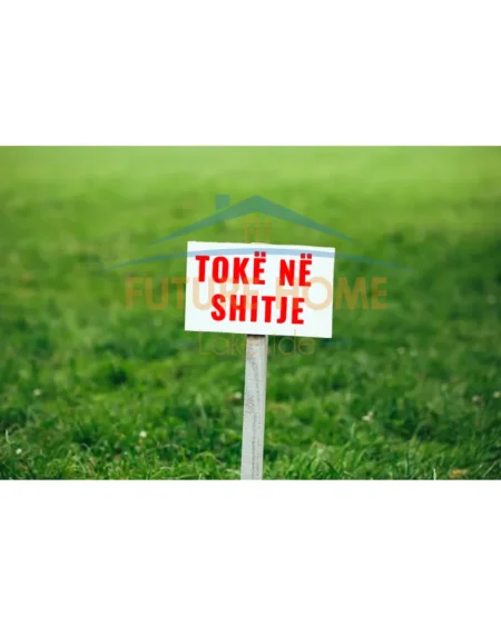 Pogradec, shitet toke bujqesore , 1.014 m² 80.000 € (Tushemisht)