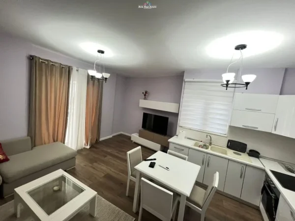 Apartament Me Qera 1+1 Tek Liqeni I Thate (ID B210604) Tirane