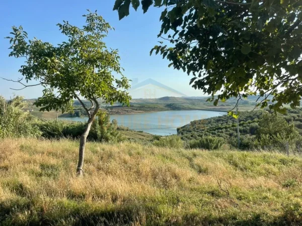 Kavaje, shitet toke , 10.450 m² 320.000 € (Kapern)