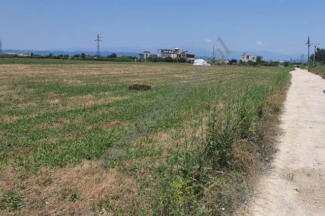 Tirane, shitet toke , 7.000 m² 314.999 € 