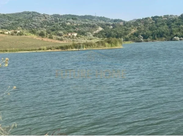 Tirane, shitet toke , 2.884 m² 160.000 € (Karpen, Maminas)