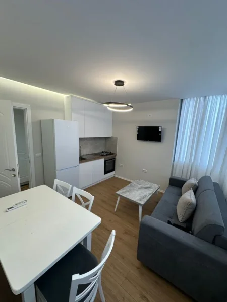Tirane, jepet me qera shtepi 1+1 Kati 2, 65 m² 600 € (Rruga Bardhyl)