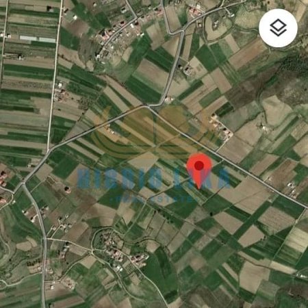 Kavaje, shes toke 8.700 m²  (Golem)