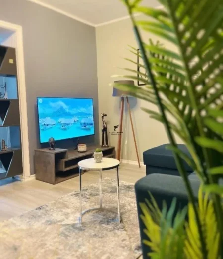 Tirane, jepet me qera apartament 1+1 Kati 2, 80 m² 650 € (BLLOKU AMBASADAVE)