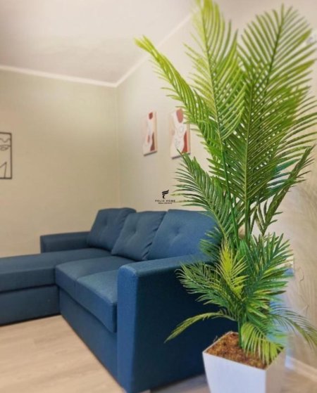 Tirane, jepet me qera apartament 1+1 Kati 2, 80 m² 650 € (BLLOKU AMBASADAVE)