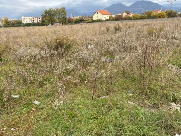 Borsh, shitet toke , 1.000 m² 169.000 € (ne Borsh Sarande)