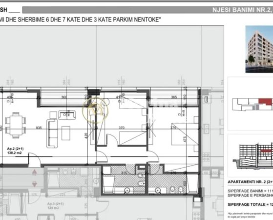 morina real estate copyright.jpeg
