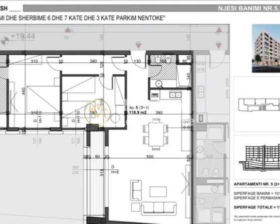 morina real estate copyright (2).jpeg