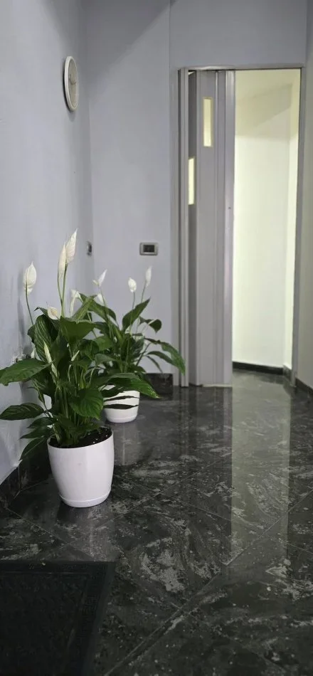 Tirane, jepet me qera apartament 1+1 Kati 2, 35 m² 650 € (Selvia)