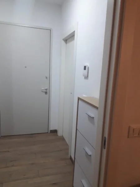 Tirane, jepet me qera apartament 1+1+Ballkon Kati 5, 65 m² 800 € (Rruga muhabet Gjonllesh)
