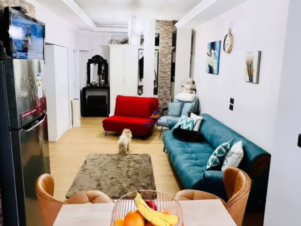 Tirane, jepet me qera apartament 1+1 , 55 m² 600 € (TE PALLATET AGIMI, BLLOK)