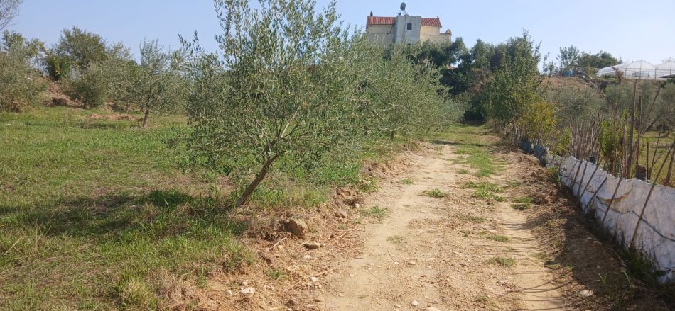 Tirane, jap me qera , 3.750 m² 1.200 € (Rruga Keçja)