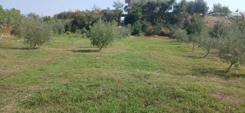 Tirane, jap me qera Pronë 3750m² 1.200 €