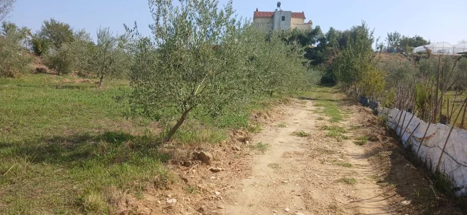 Tirane, jap me qera Pronë 3750m² 1.200 €