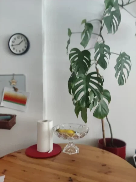 Tirane, jepet me qera apartament 1+1 Kati 4, 75 m² 600 € (Spitali Gjerman ,Rruga e Kavajes)