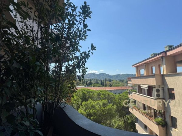 Tirane, jepet me qera zyre Kati 10, 123 m² 2.500 € (Lion Park Residence)
