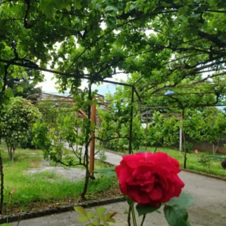 Gjirokaster, jepet me qera magazine Kati 0, 200 m² 300 € (Lagja Zinxhira)