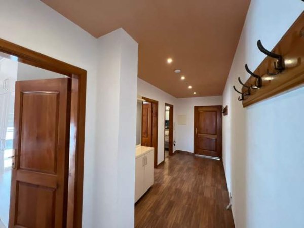 Tirane, jepet me qera apartament 1+1+BLK Kati 4, 100 m² 400 Euro (5 maji)