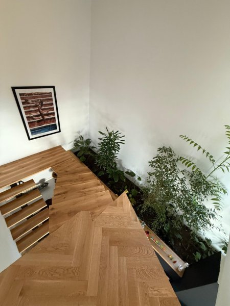 Tirane, shitet Vile 2 Katshe Kati 2, 2.440 m² (Mullet)