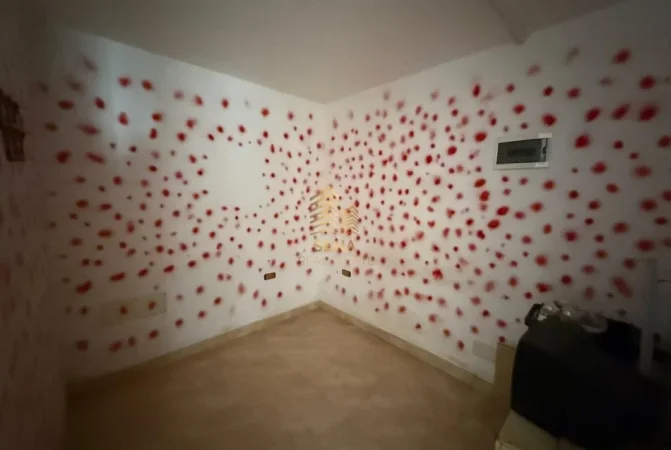 Tirane, jepet me qera ambjent biznesi Kati 0, 47 m² 300 € (Laprake)