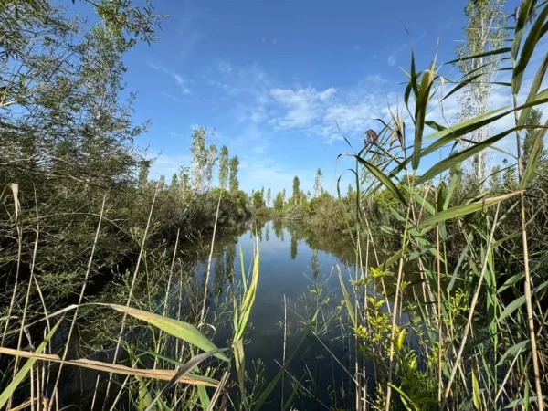 SHITET TRUALL PRANE PATOKUT  3.800 m² 570.000 € (FUSHE KUQE)