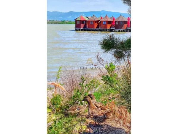 Kurbin, shitet toke , 16.900 m² 473.000 € (Laguna e Patokut)