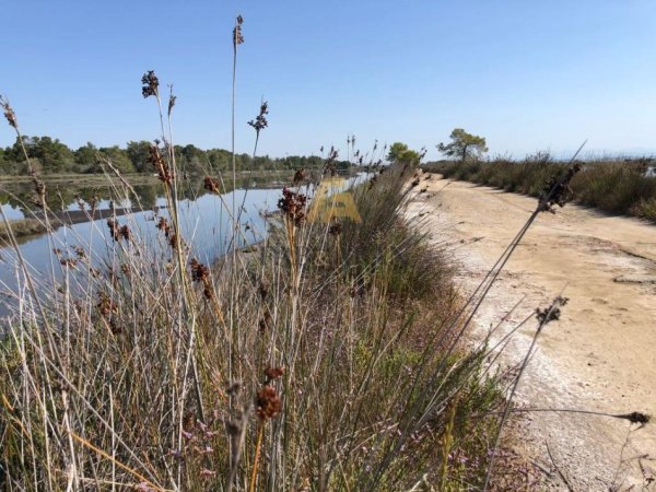 Divjake, shitet toke , 2.500.000 m² 7.500.000 € (Divjake)