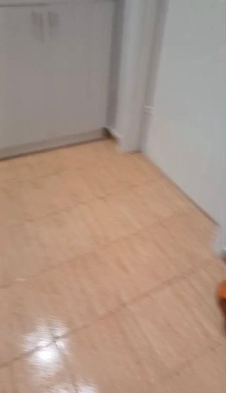 Tirane, jepet me qera apartament 1+1+Ballkon Kati 4, 65 m² 550 € 