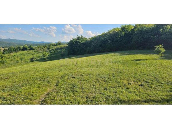 Tirane, shes toke , 1.000 m² 49.000 € (Mushqeta)
