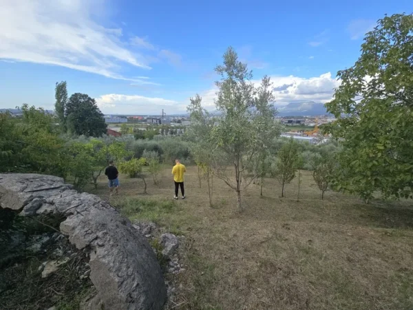 Tirane, shitet toke , 1.300 m² 403.000 € 