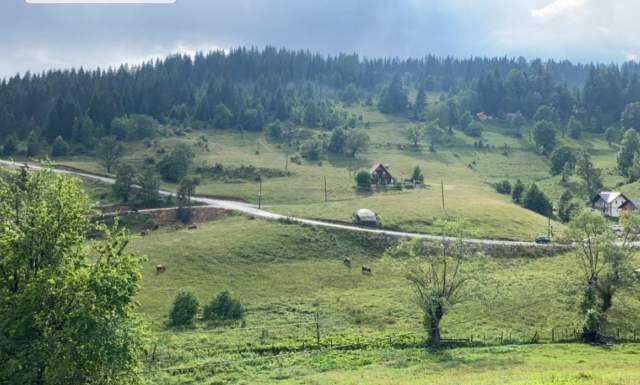 Peje, shes toke 1.000 m² 6.000 Euro (Peje Rugove)