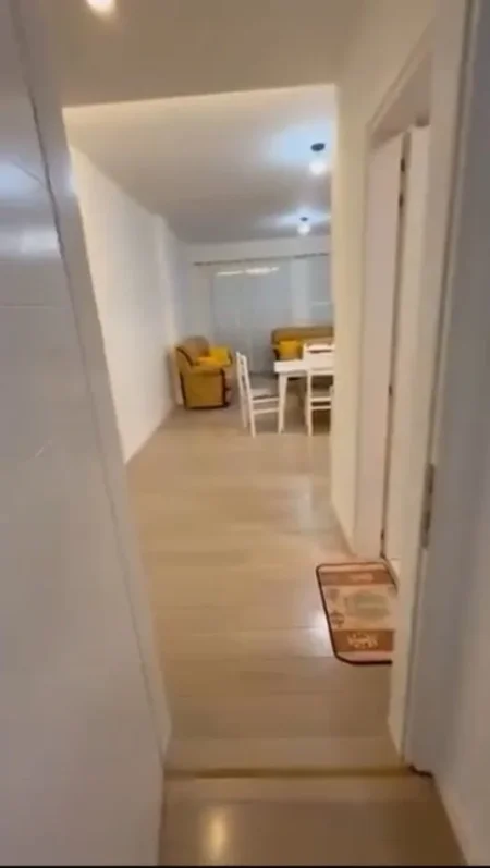 Tirane, jap me qera apartament 1+1+Ballkon Kati 2, 80 m² 550 € (Kopshti Zoologjik)