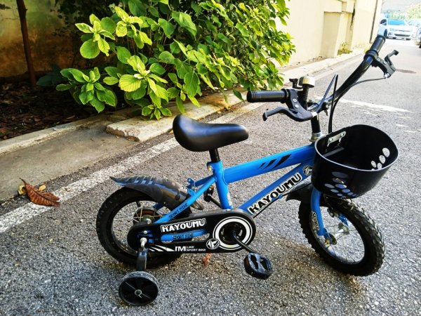 Tirane, shes biciklete per djem blu 60 €