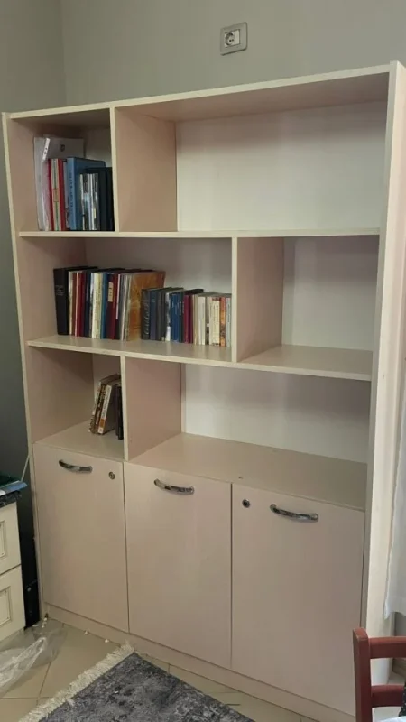 Tirane, shes Shitet biblioteke raft librash 100 €