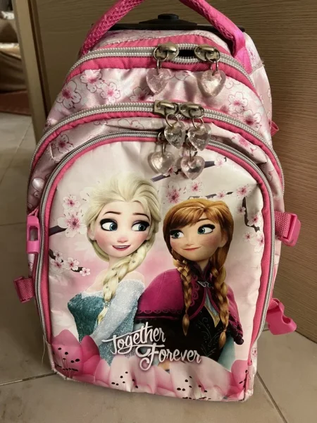 Tirane, shes Cante shkolle Anna dhe Elsa 20 €