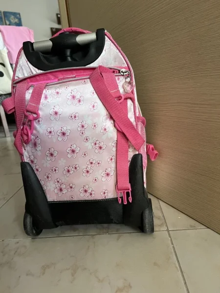 Tirane, shes Cante shkolle Anna dhe Elsa 20 €