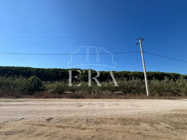 Durres, shitet toke , 30.500 m² 1.525.000 € (Sektor Rinia)