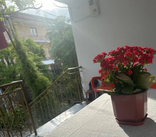 Fier, jepet me qera shtepi 2+1+Ballkon , 700 m² 320 € (LAGJIA 1 MAJ)