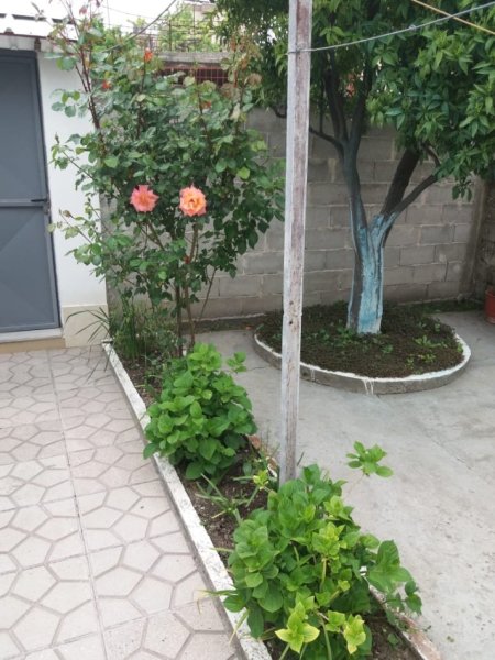 Fier, jepet me qera shtepi 2+1+Ballkon , 700 m² 320 € (LAGJIA 1 MAJ)