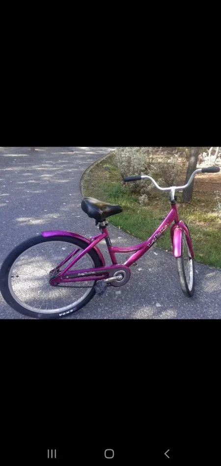 Tirane, shes biciklete Marka Yolla, 24, per gra dhe vajza, 12.000 leke te reja lejla