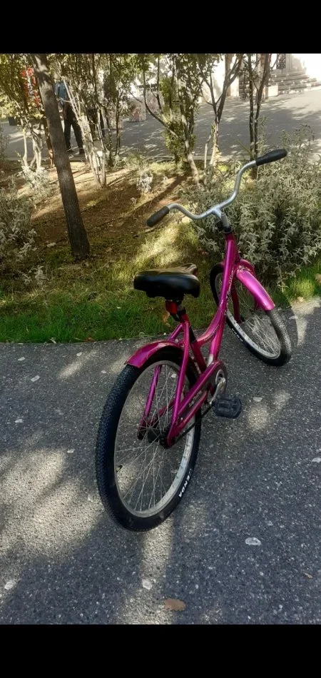 Tirane, shes biciklete Marka Yolla, 24, per gra dhe vajza, 12.000 leke te reja lejla