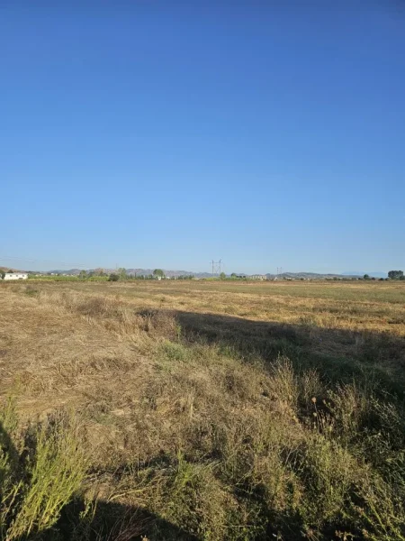 Golem, shitet toke , 4.000 m² 48.000 € (Rr Blerimaj Kavaje)